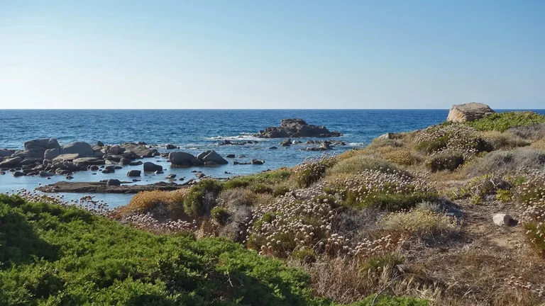Vado un attimo in Sardegna e torno