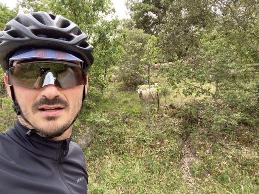 Selfie davanti a una pecora