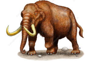 Riproviamo Mastodon