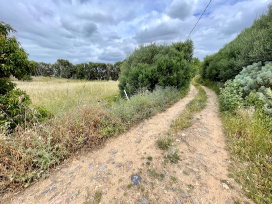 Strada di campagna con fondo sconnesso