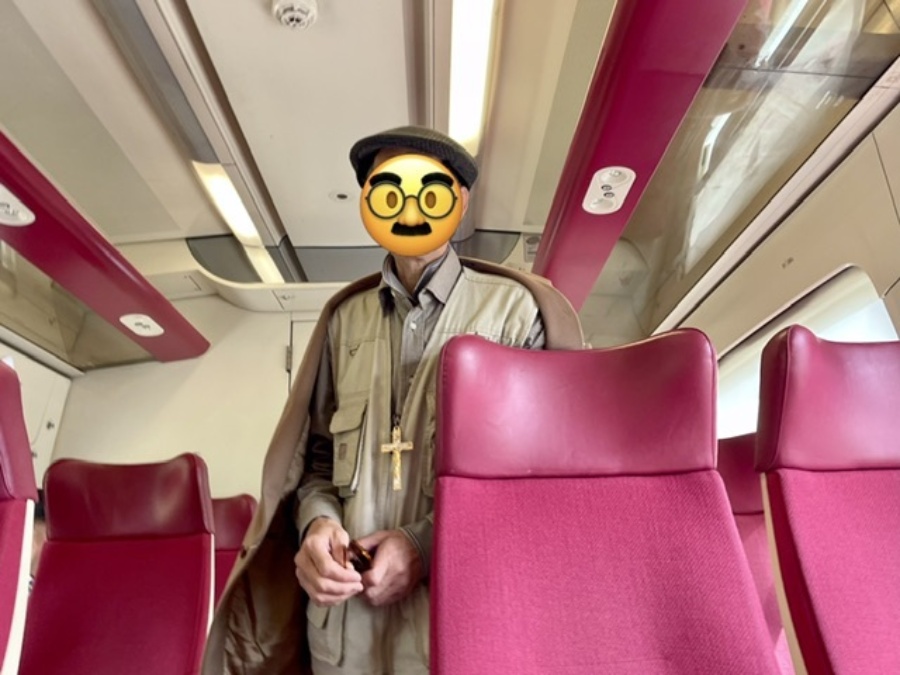 Io e un altro curioso viaggiatore sul treno