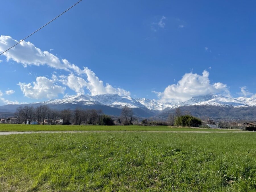 Prato verde con le Alpi sullo sfondo