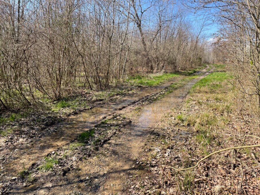 Strada coperta di fango