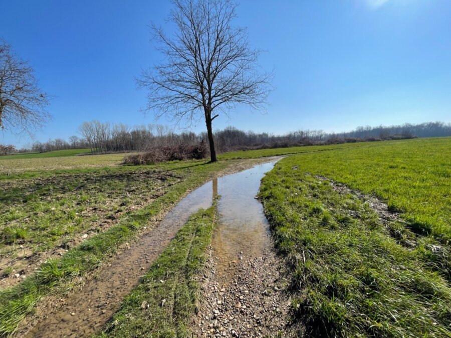 strada sterrata totalmente coperta d’acqua