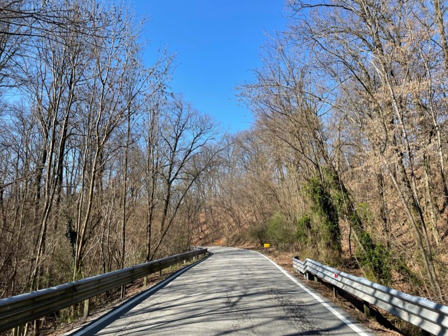 Strada in un bosco in Piemonte