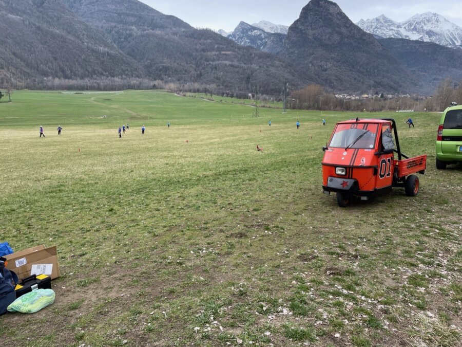 Ace cross in un prato