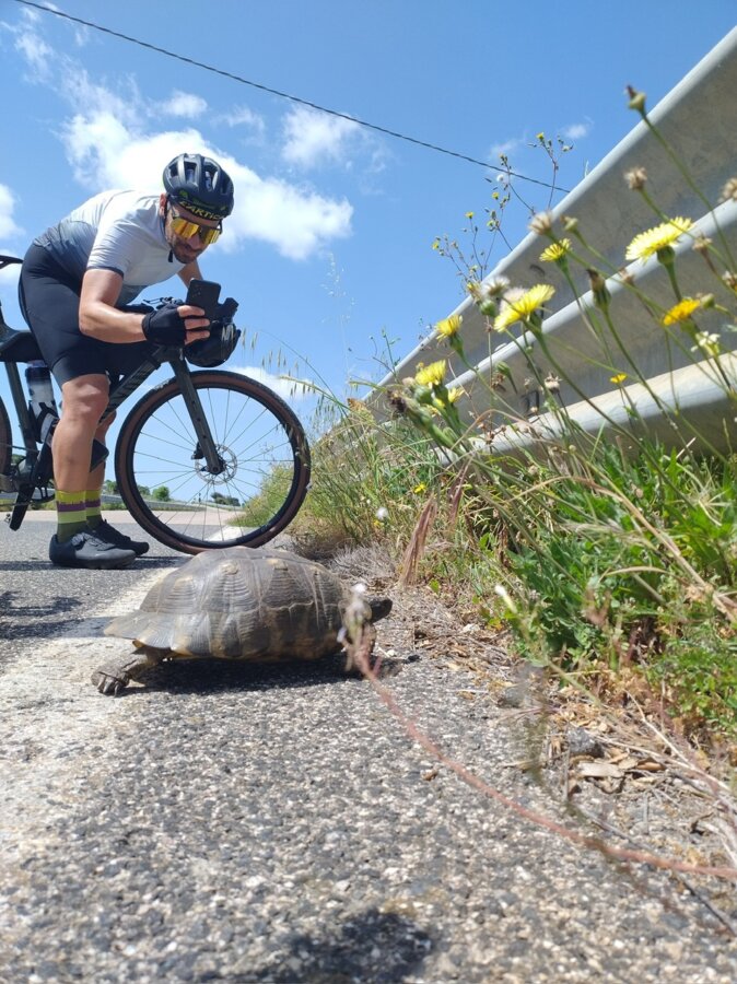 57a058ae 78c6 4fe2 b262 1ba0204e91ee