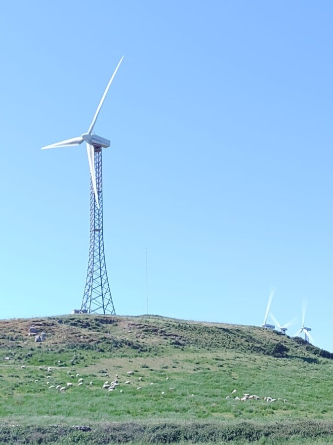 3eb13629 21ea 4bbd 8e7b f76b2518b018