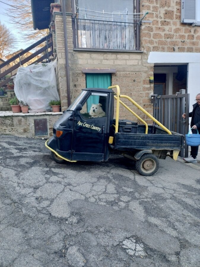 Non guidano benissimo vien da pensare